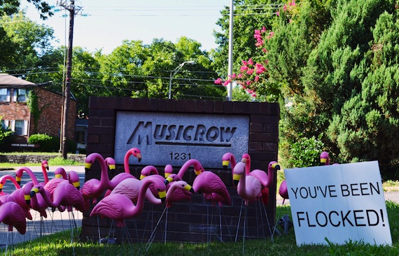 musicrowflocked