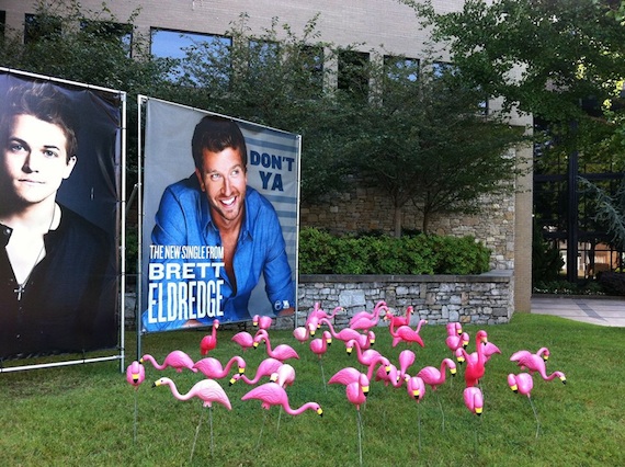 warner brothers flocked1