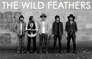 the wild feathers11