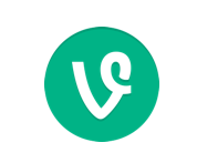 vine111