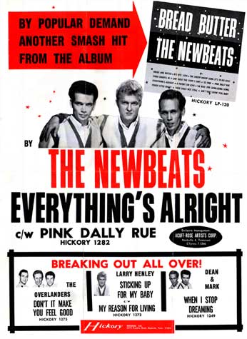 The Newbeats poster