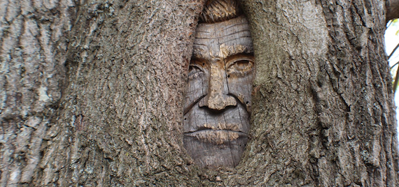 Image of Johnny Cash carved into a tree on the Cash property.